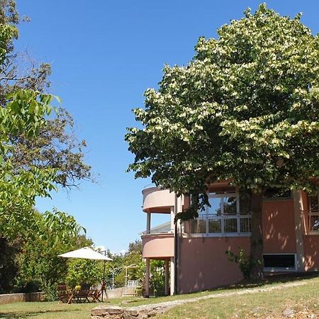 Apartments Seafront Villa Pula Dış mekan fotoğraf