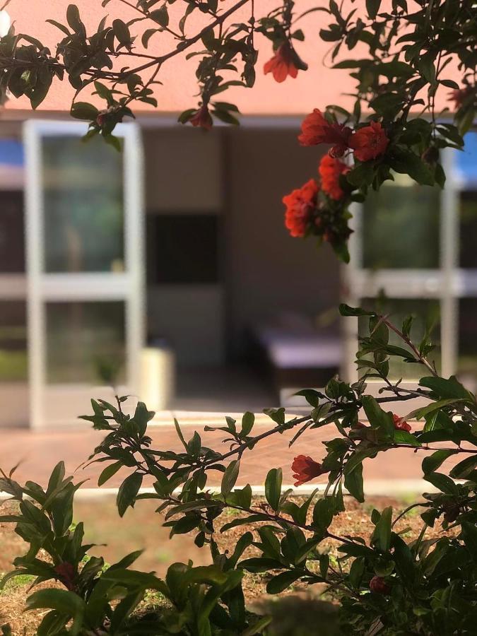 Apartments Seafront Villa Pula Dış mekan fotoğraf
